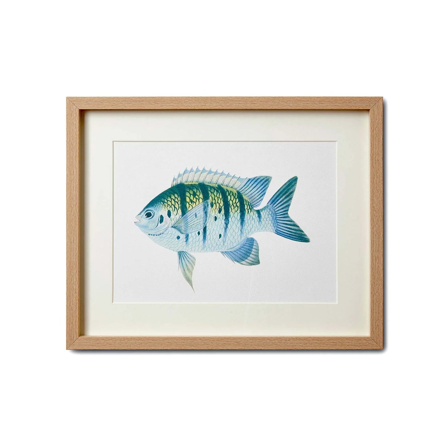 SEA LIFE Print Type 2