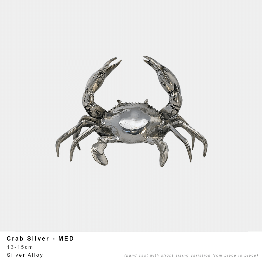 Mud Crab Silver Medium