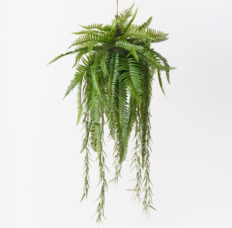 150cm Boston Fern Hanging Ball