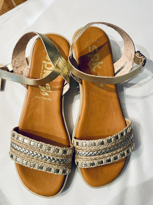 Mod 2510 Chicago Platino