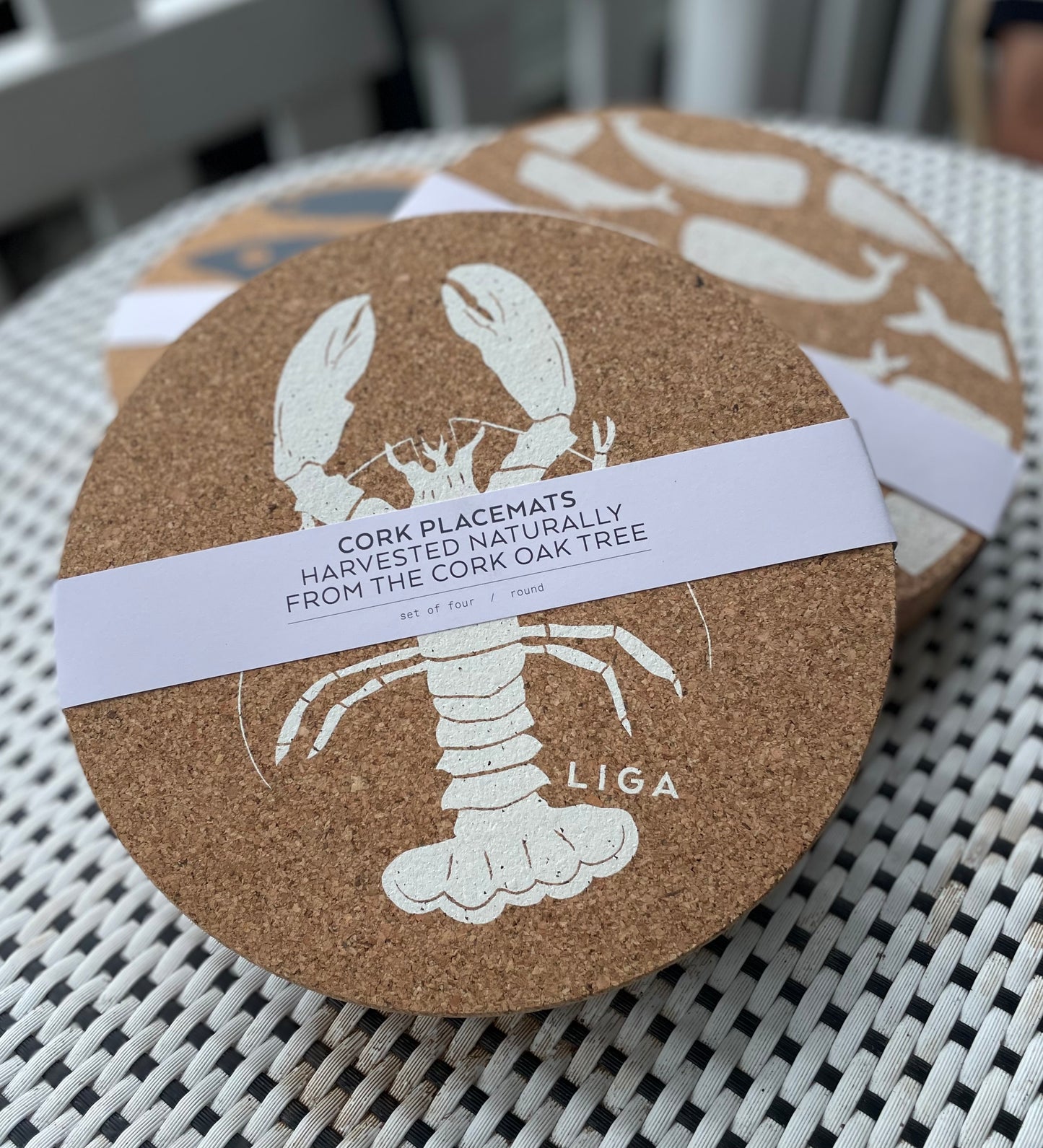 Printed Cork Placemat Set of 4 (Various)