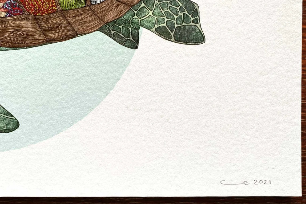 The Coral Reef Turtle - A4