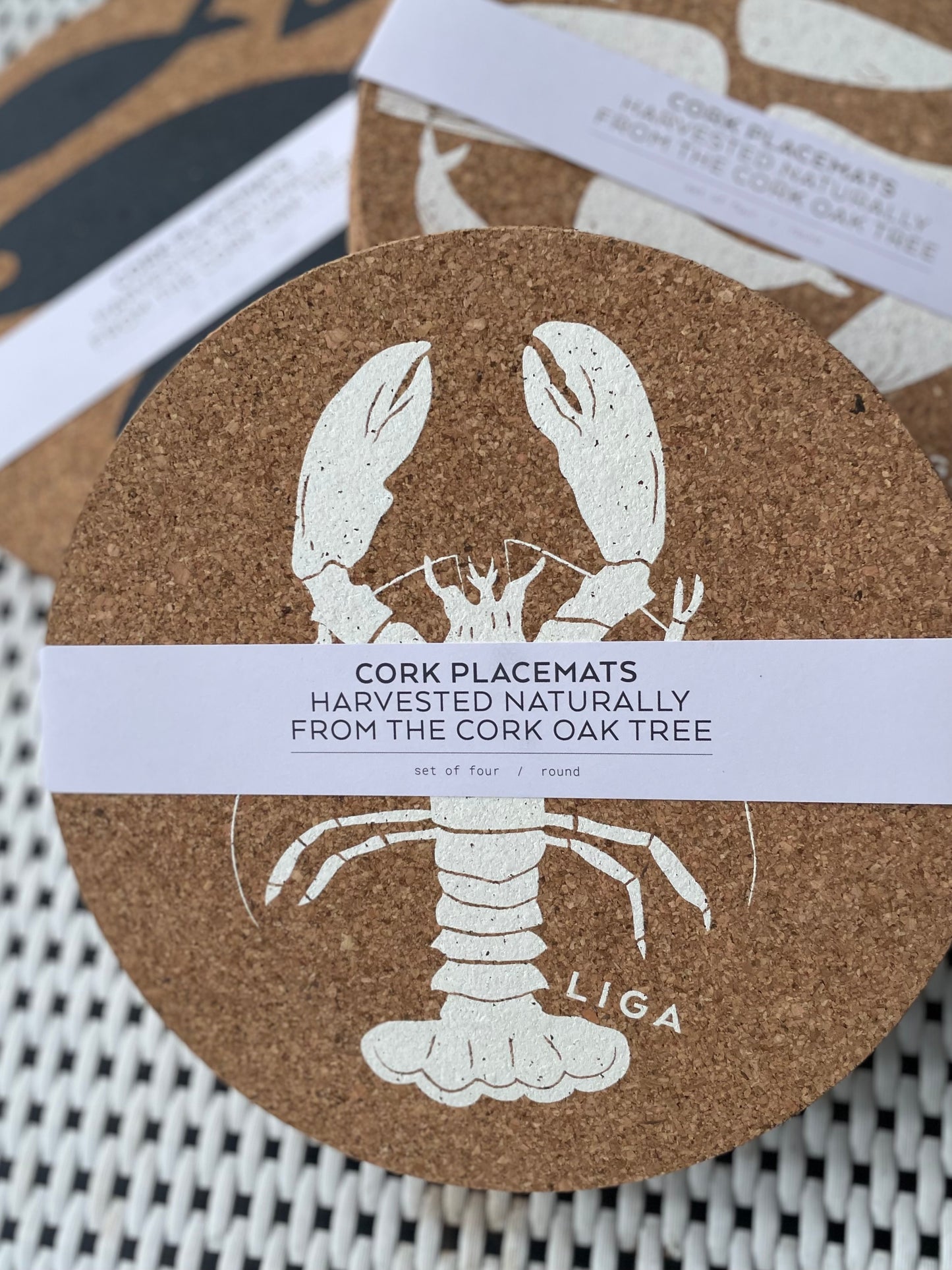Printed Cork Placemat Set of 4 (Various)