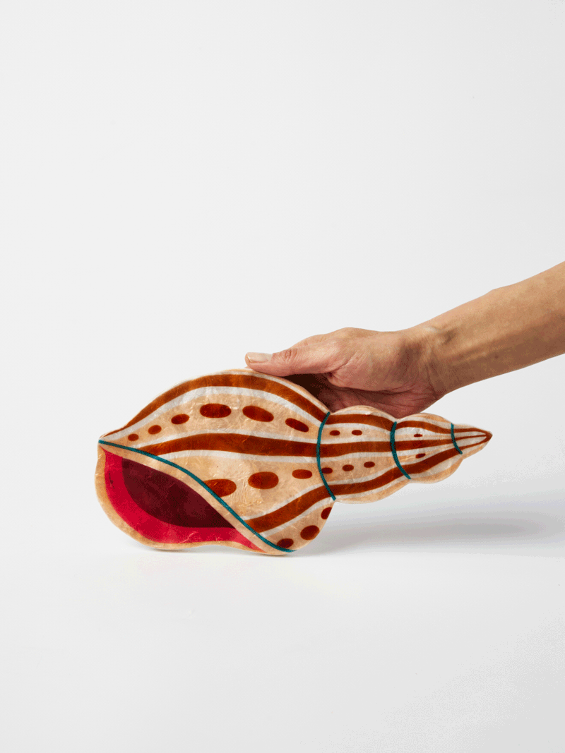 Agnar wall Shell