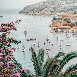 Amalfi Tropic Art Print