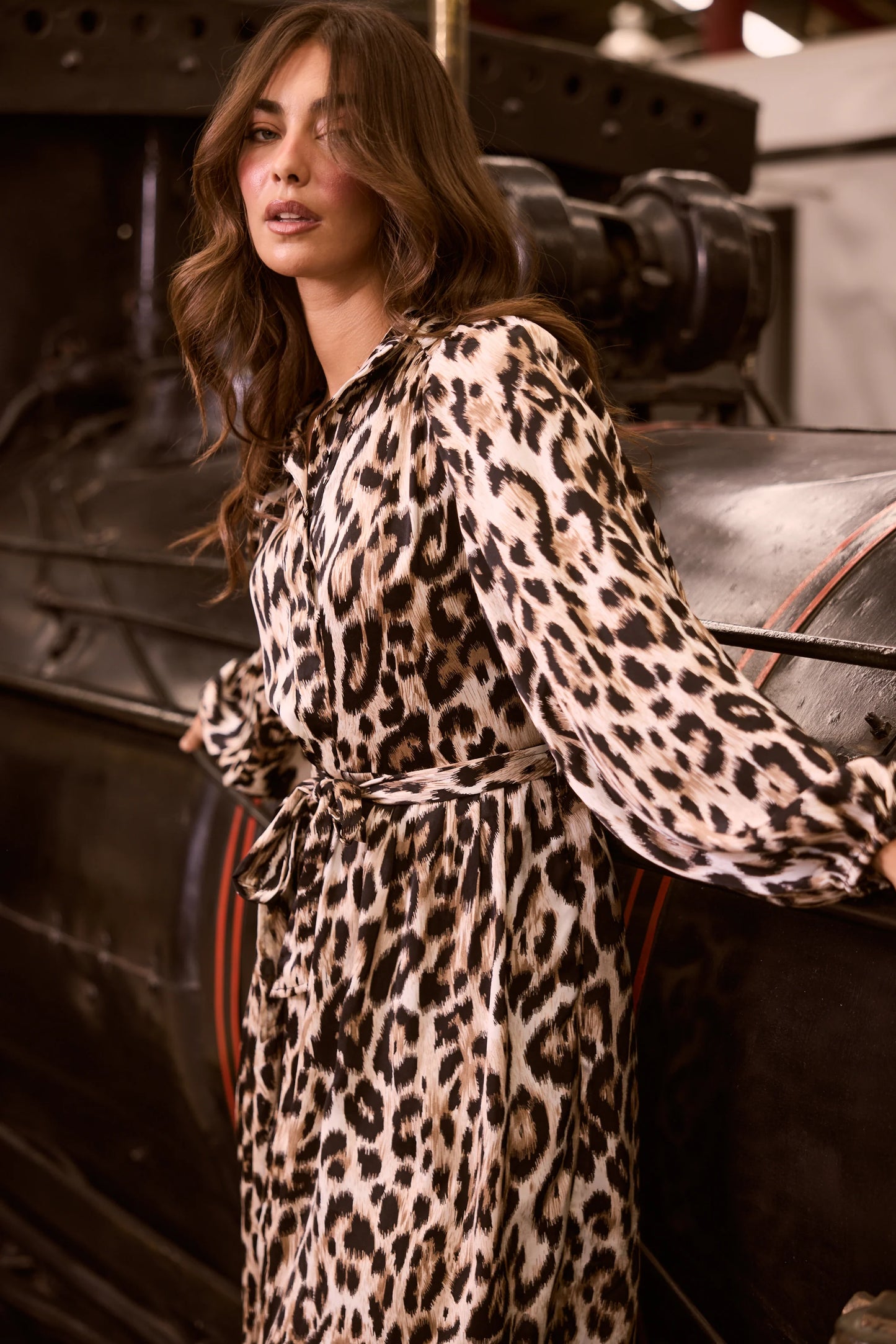 Penny Long Sleeve Dress in Savannah Print