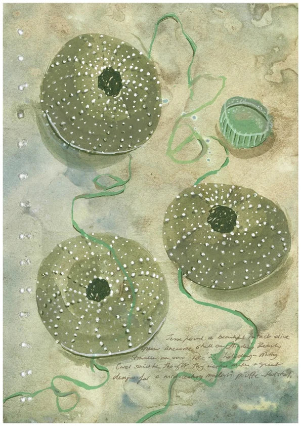 Beachcombing Fine Art Print A3 – Megan Forward