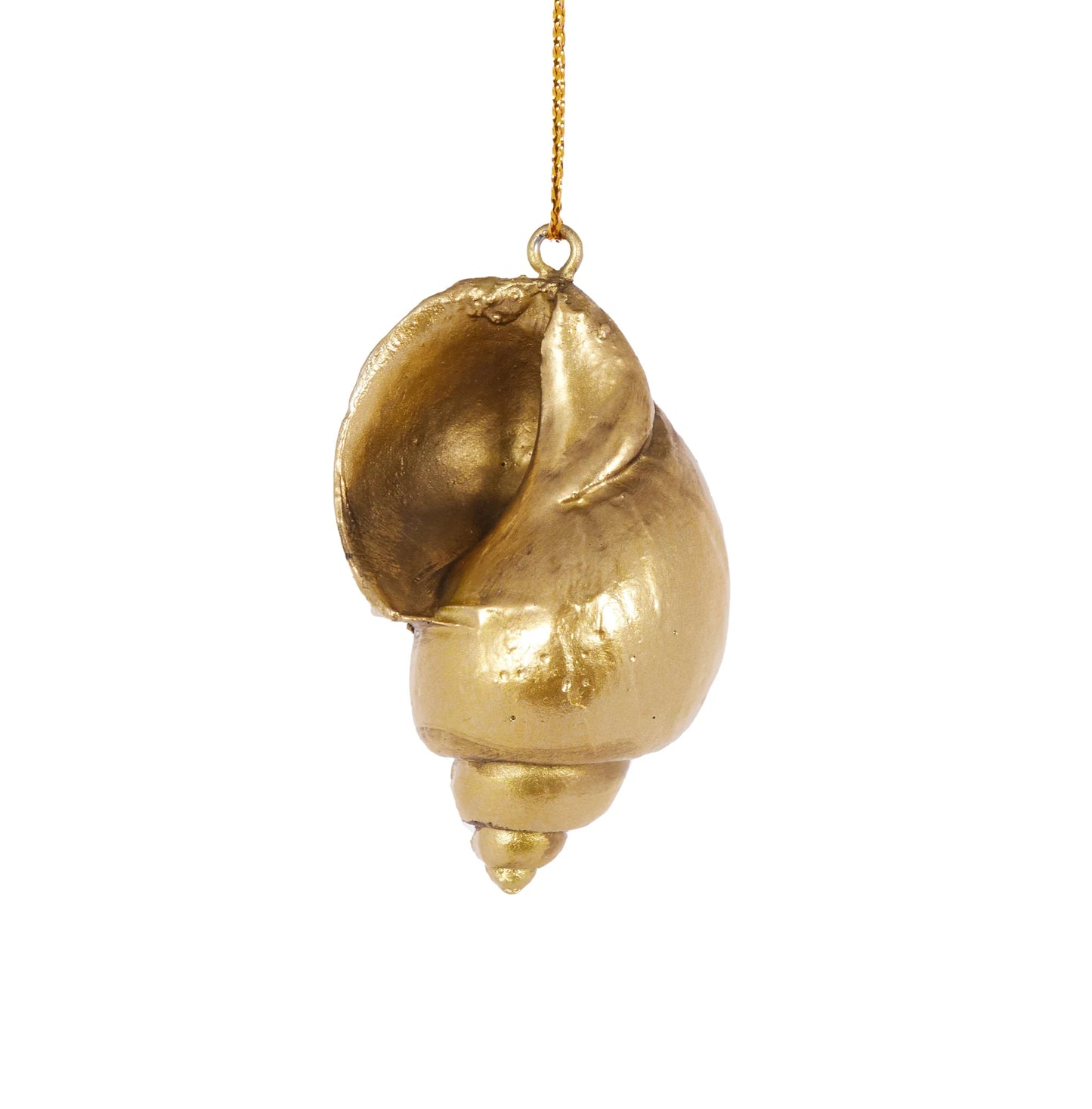 3 Assorted Matte Gold Shell Ornaments
