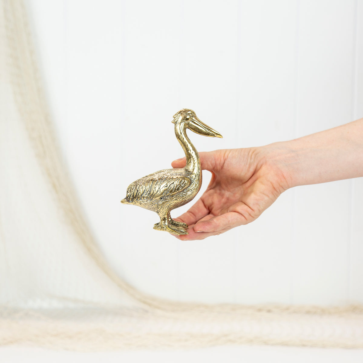 Pelican M - Shiny