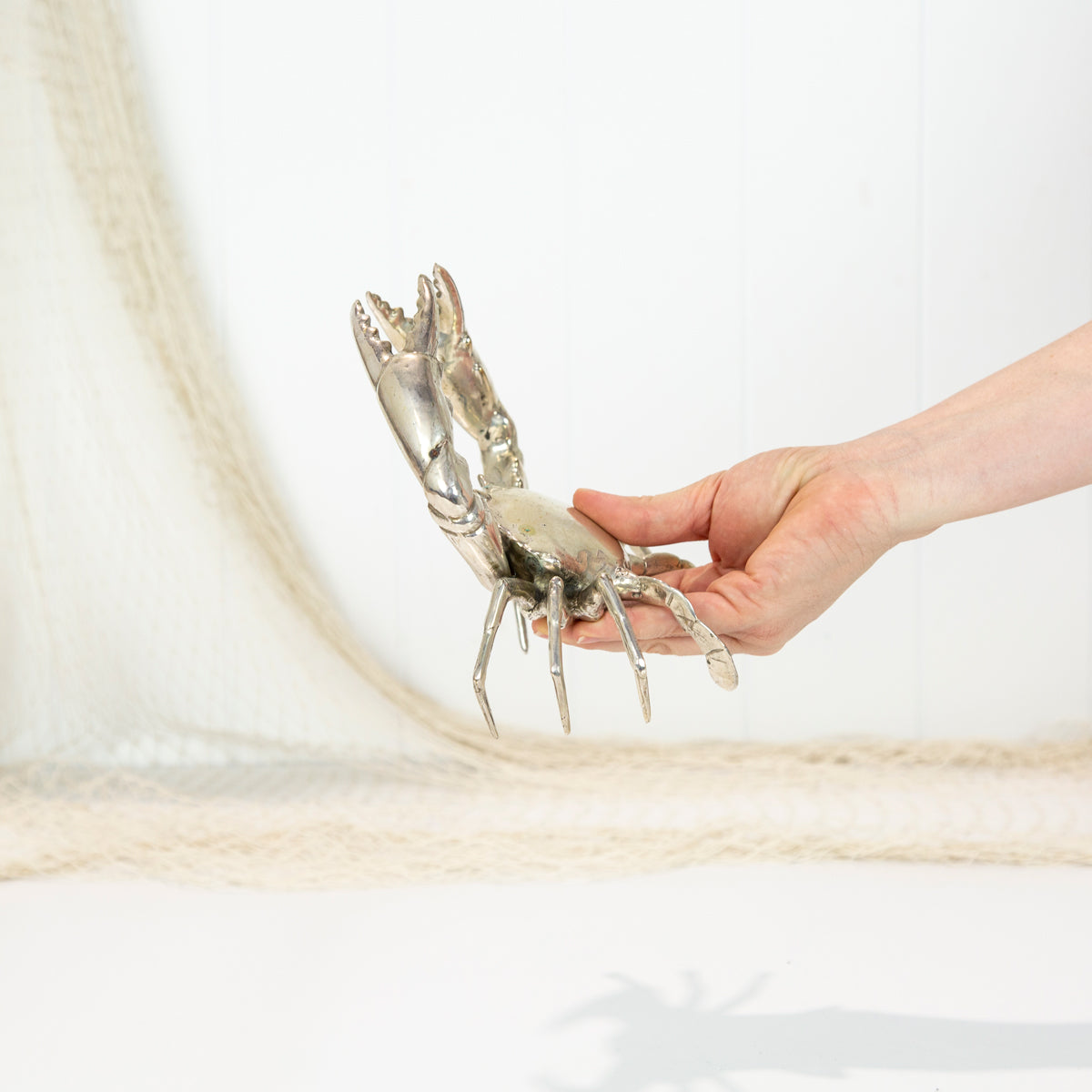 Crab L Shiny