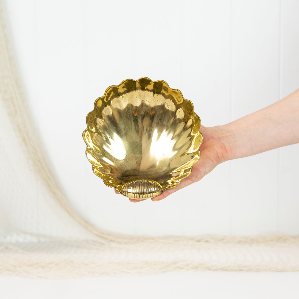 Scallop Shell Dish in Shiny