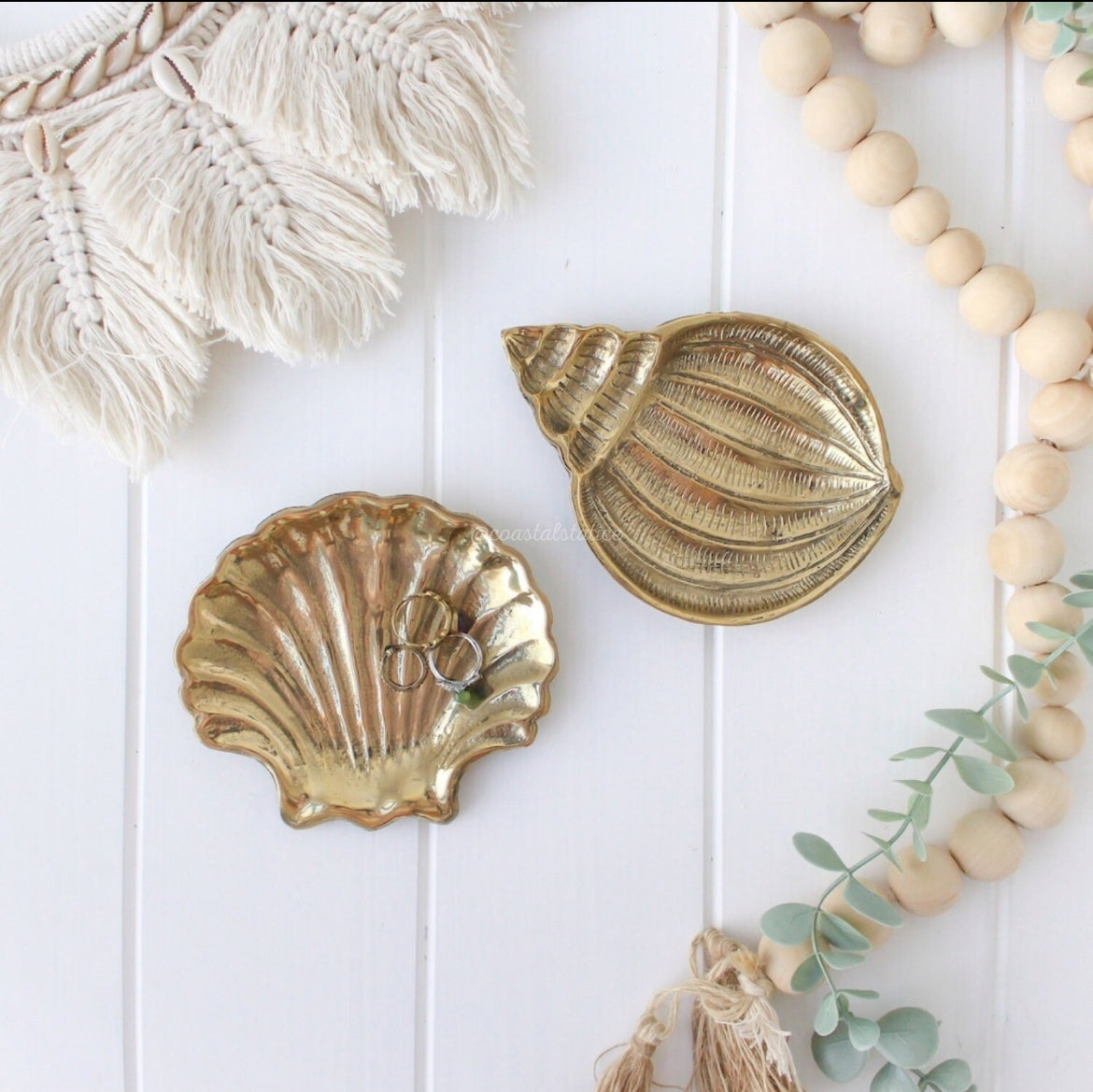 Clam shell trinket plate