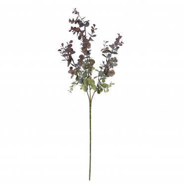 65cm Burgundy Eucalyptus Spray