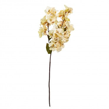 70cm Cream Bougainvillea Spray