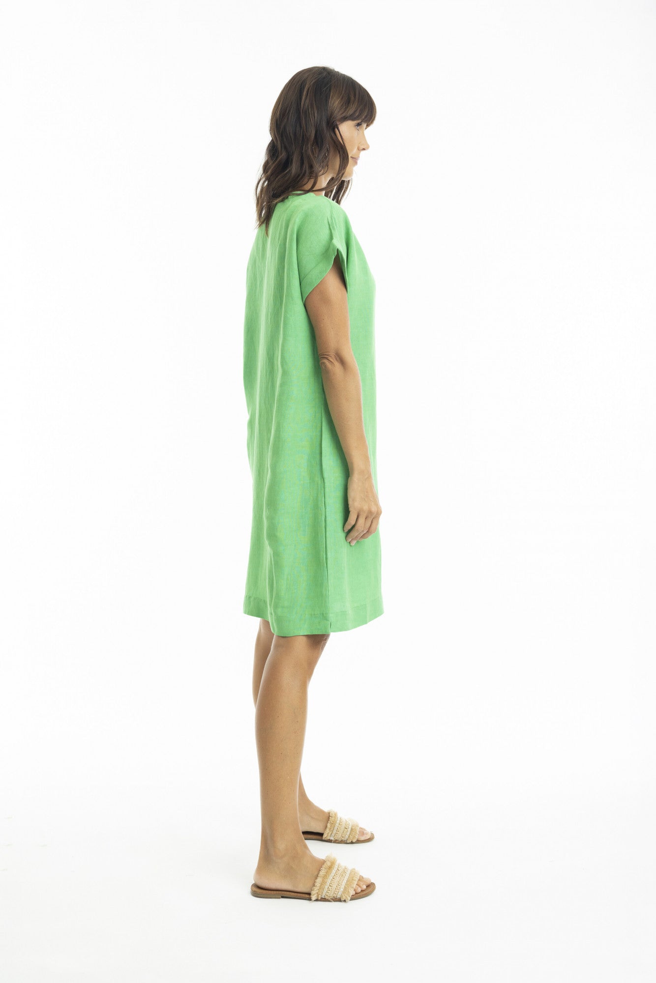 Linen Cap Sleeve Shift Dress in Parrot