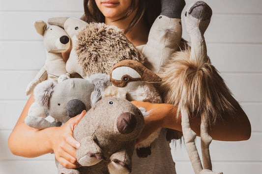 Mob of Seven Aussie Softies