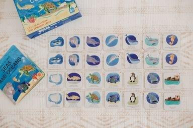 Sassi Memory Matching Games - Animals to Save - Seas and Oceans