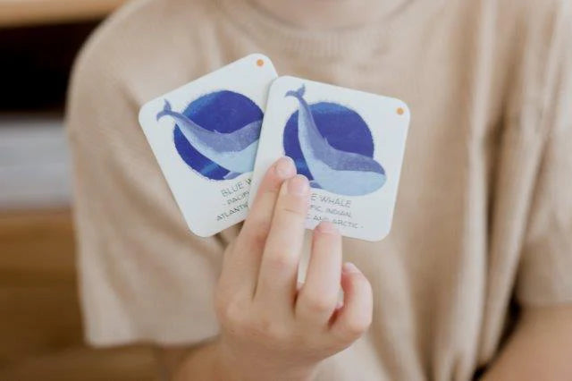 Sassi Memory Matching Games - Animals to Save - Seas and Oceans