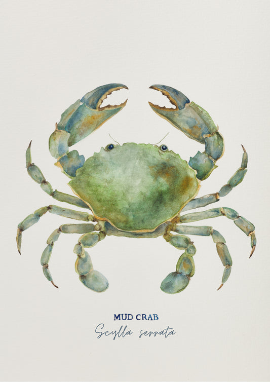 Mud Crab Art Print by Michelle Turner