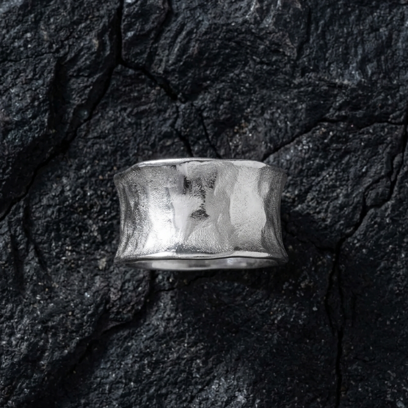 Aurea Terra Ring in Silver