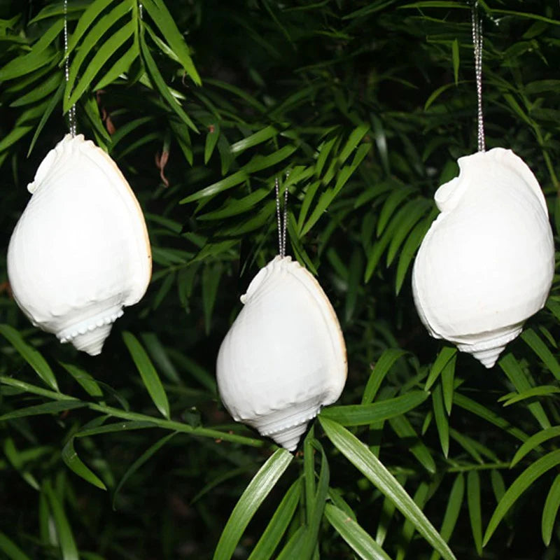 Cassis shell in white decoration