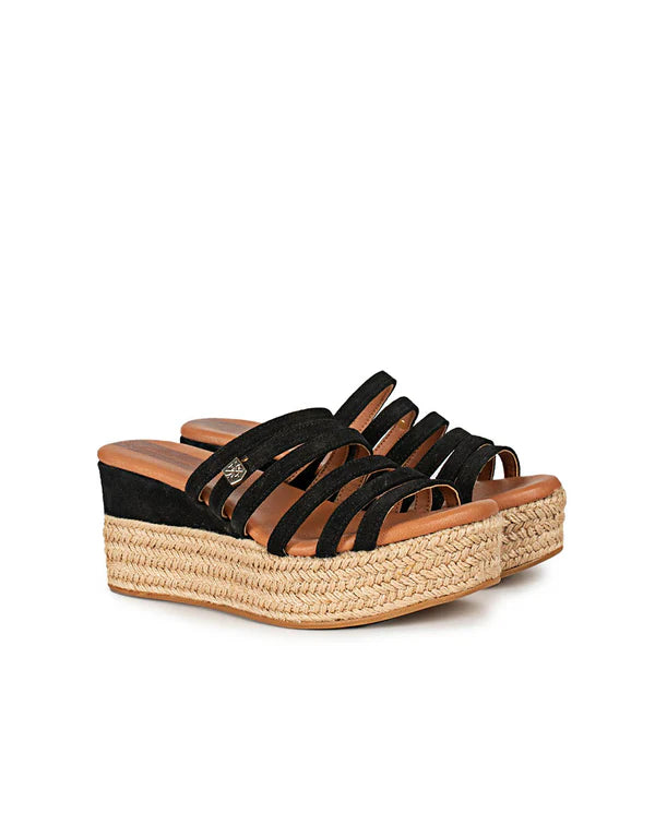 Epperly Wedges