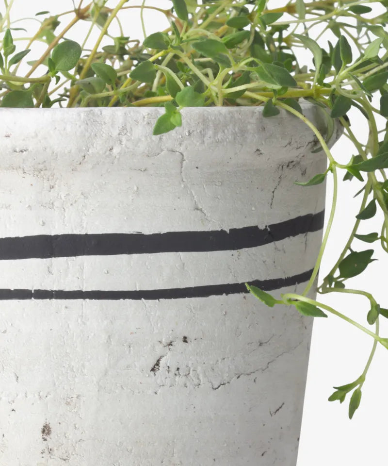 Lisbon Herb Pot (Range of Sizes)