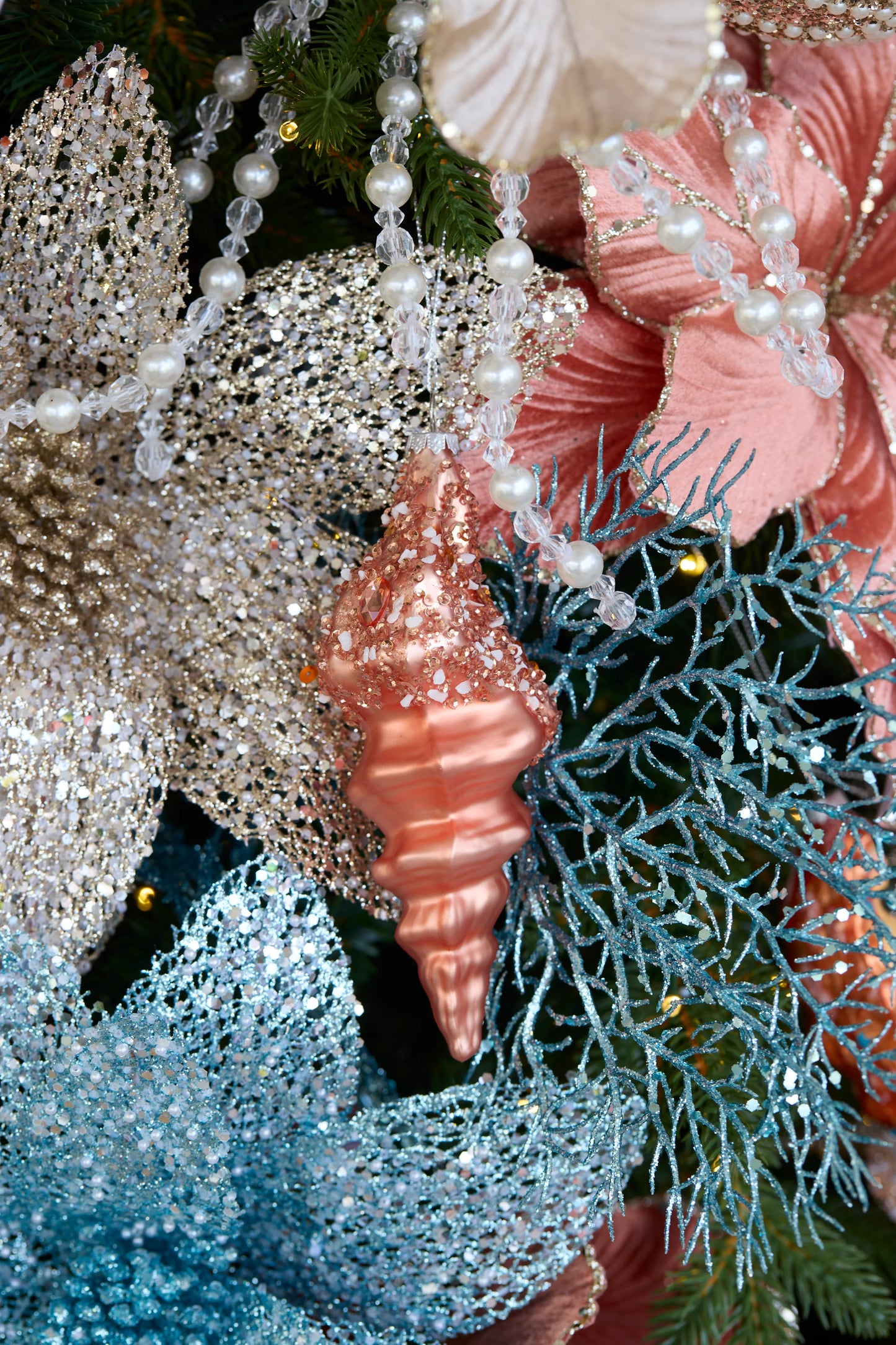 Orange Pearl Conch