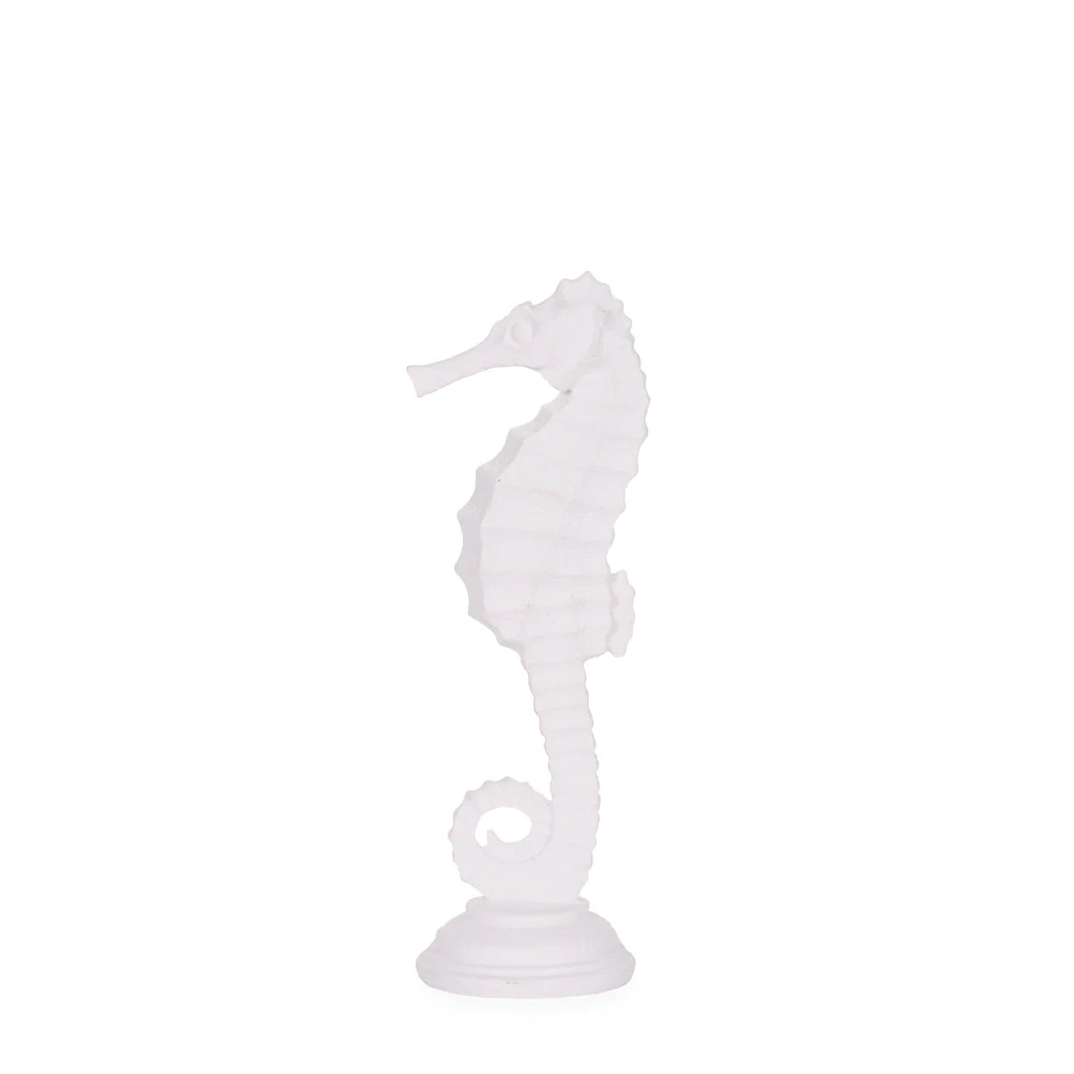 Small White Seahorse