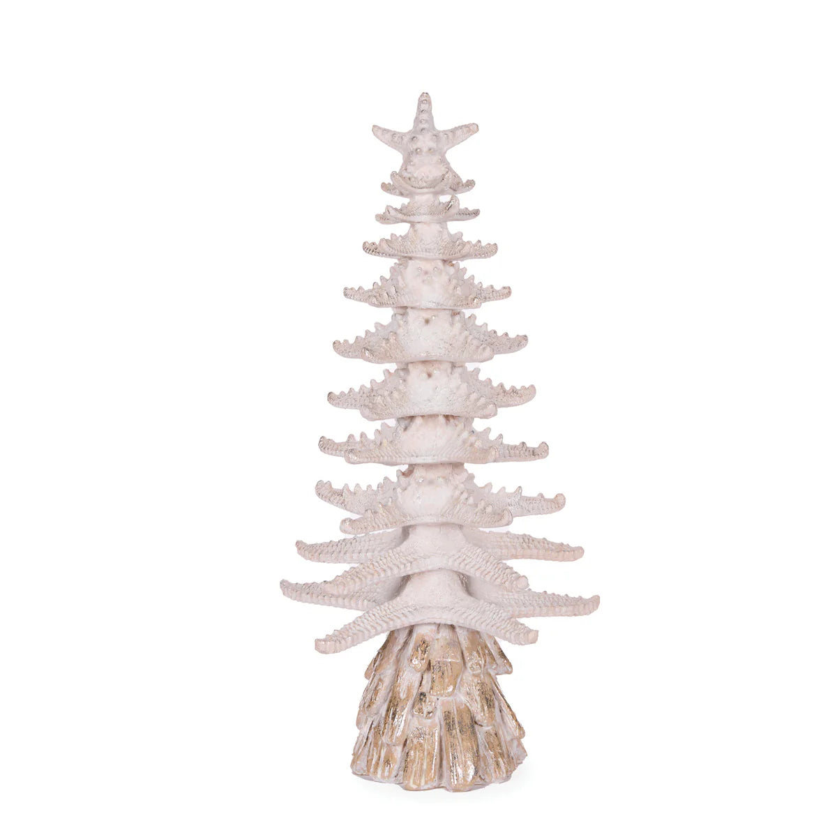50cm Coastal Starfish