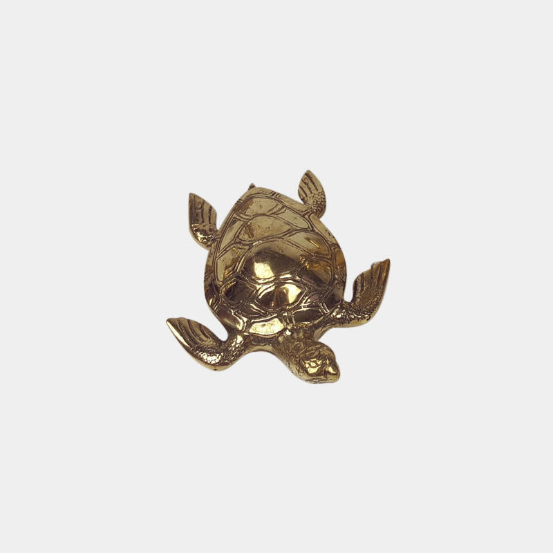 Turtle Gold Medium