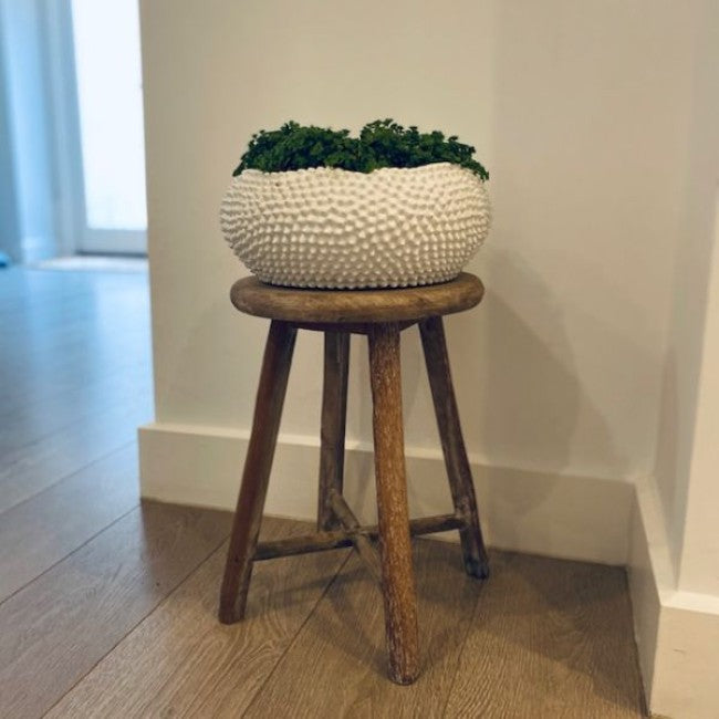 Milking Stool