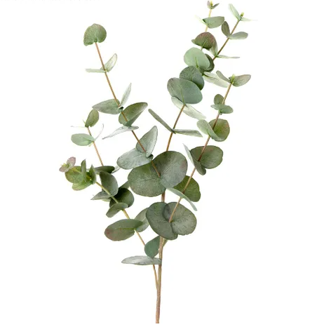 Eucalyptus 86cm