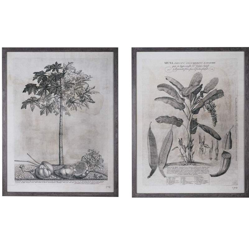 Grey Palm Print (Set of 2) - pre order