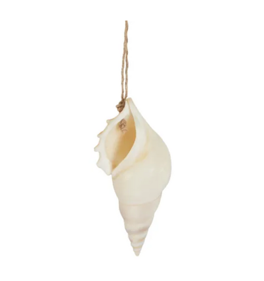 Byron Hanging Shell Ornament