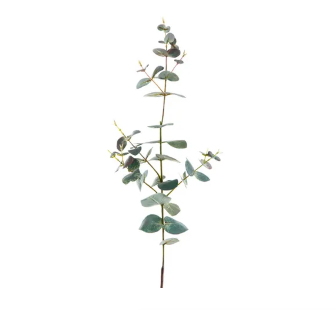 Eucalyptus Spray