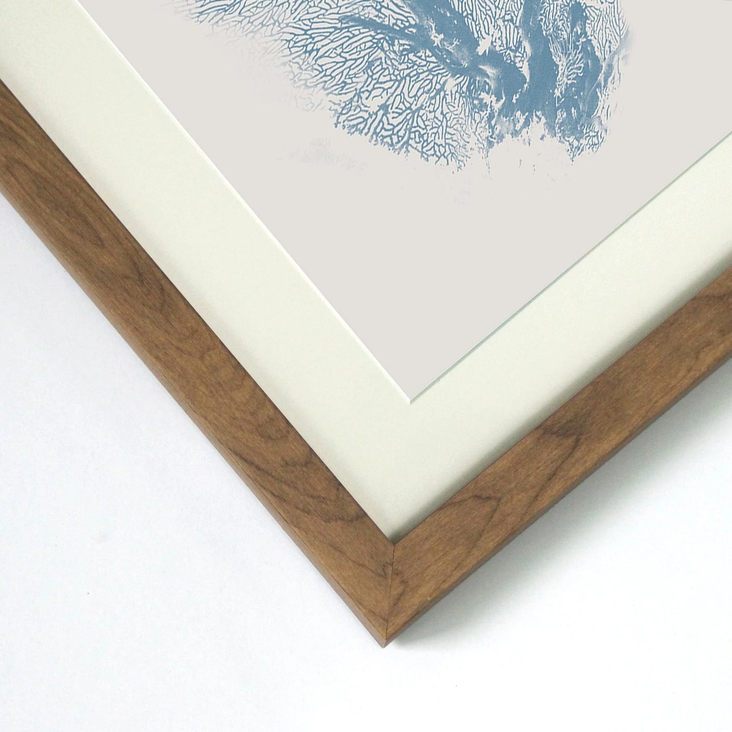 Belize Blue Singal Fan Coral Print in Timber Frame Wall Art