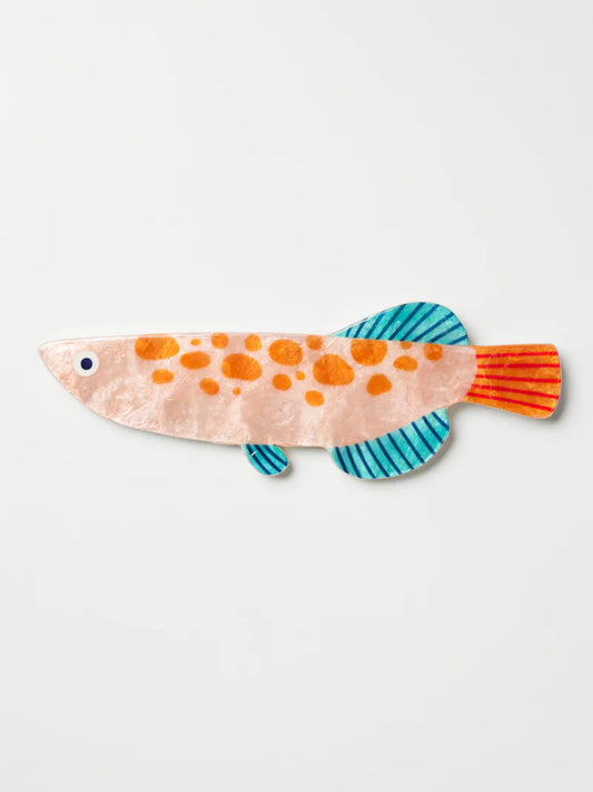 Comet Fish
