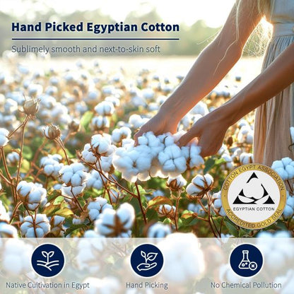 1200 Egyptian Cotton Sheet Sets