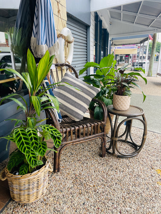 Assorted plants