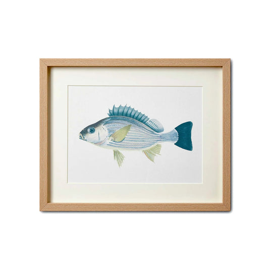 SEA LIFE Print Type 1