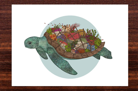 The Coral Reef Turtle - A4