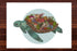 The Coral Reef Turtle - A4