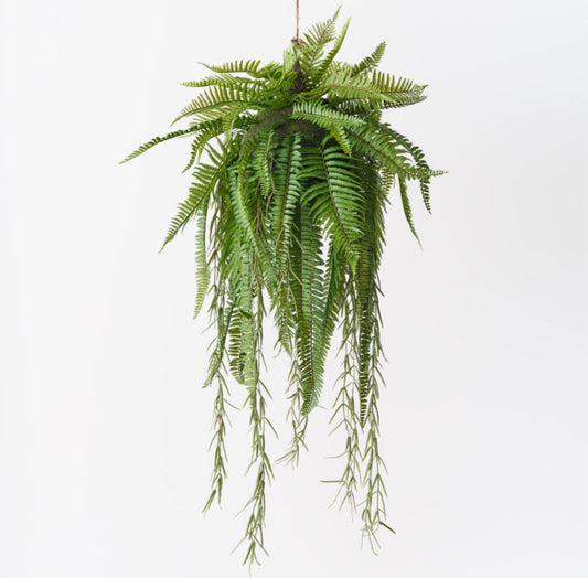 150cm Boston Fern Hanging Ball