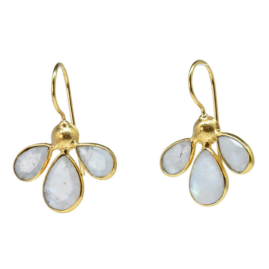 Euro Gold Earrings - A263