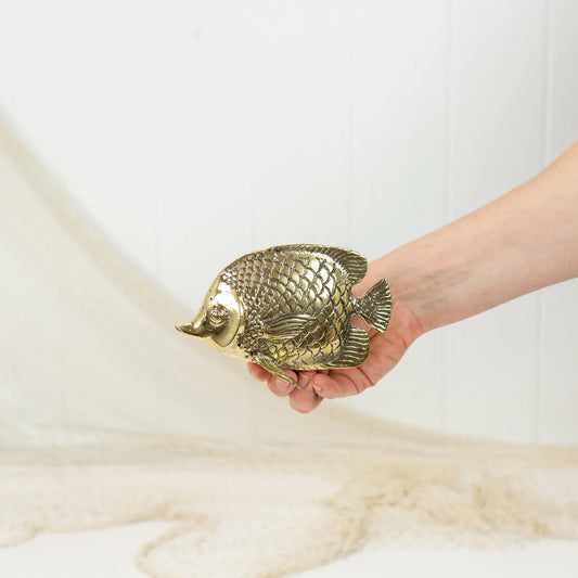 Angel Fish - Shiny