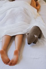 Wally The Wombat