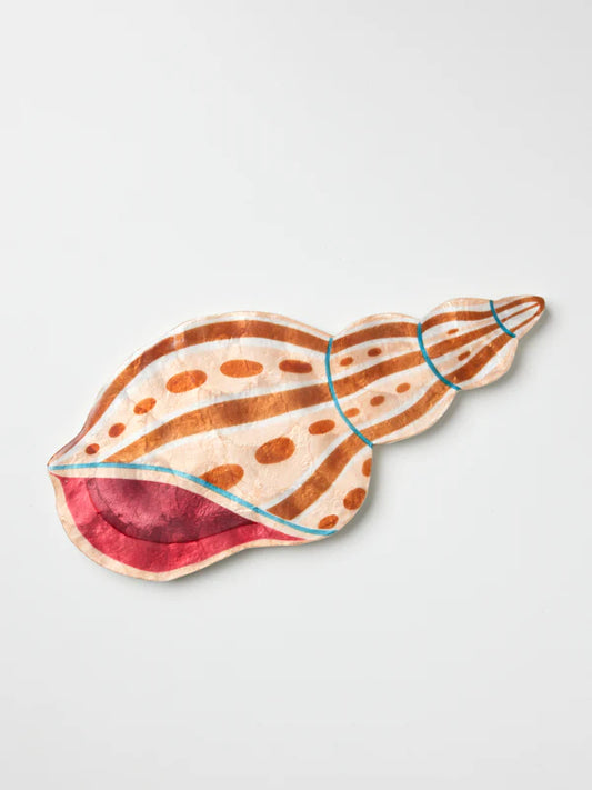 Agnar wall Shell