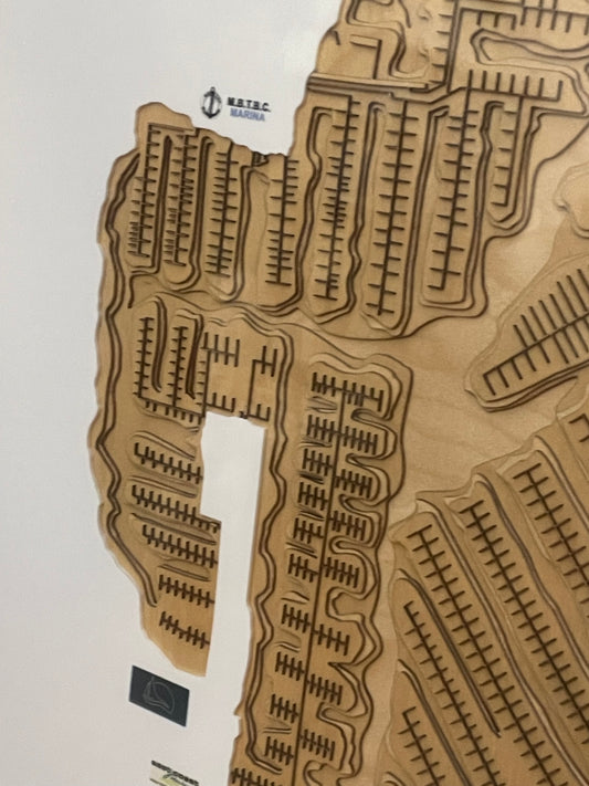 Manly Harbour 3D Contour Map