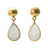 MW Euro gold earrings